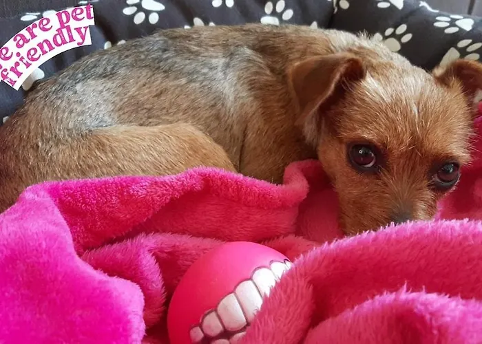 Salto Del Caballo Con Parking Incluido - Living Apartmán Toledo